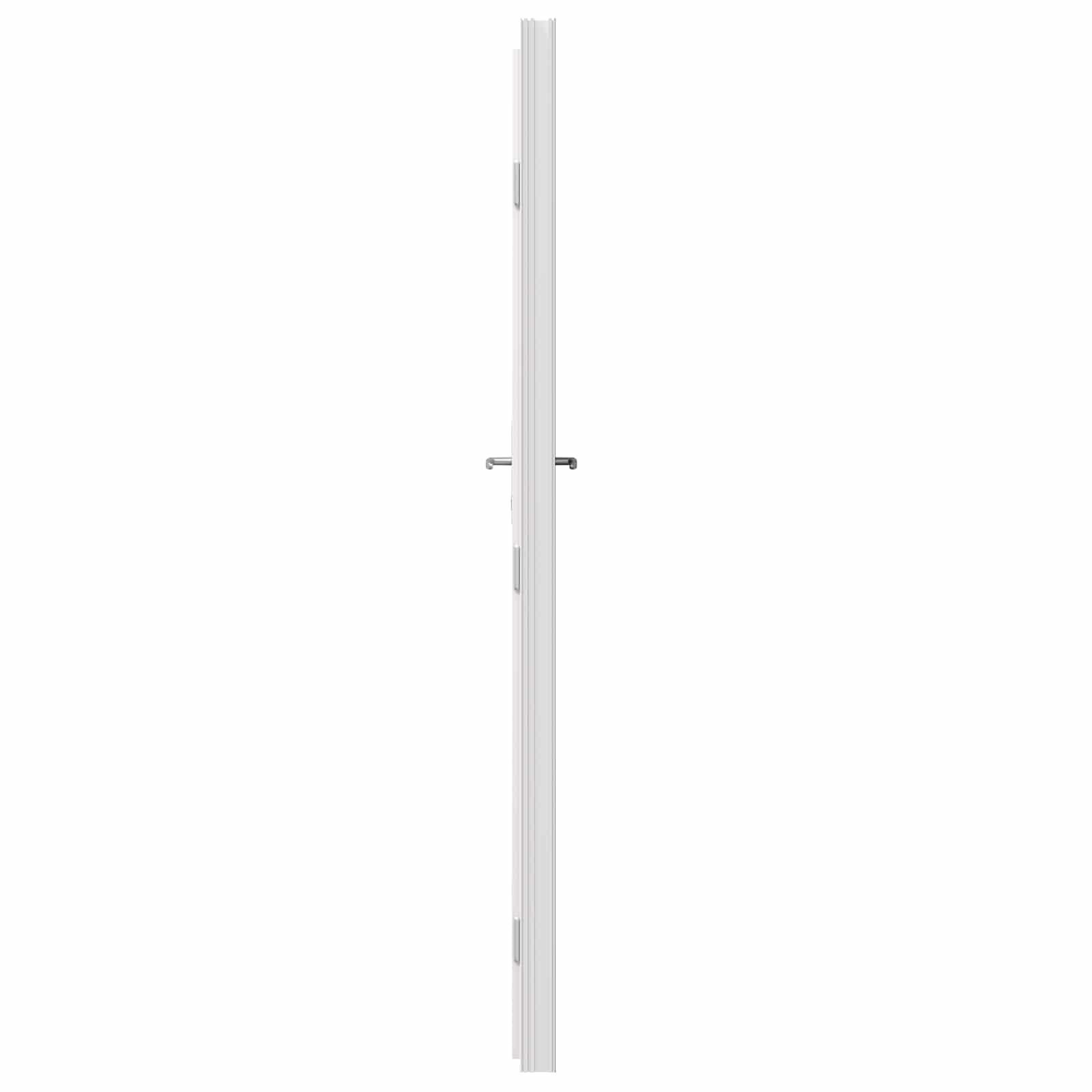 Seiteneingangstür Anthrazit 98 x 198 cm PVC