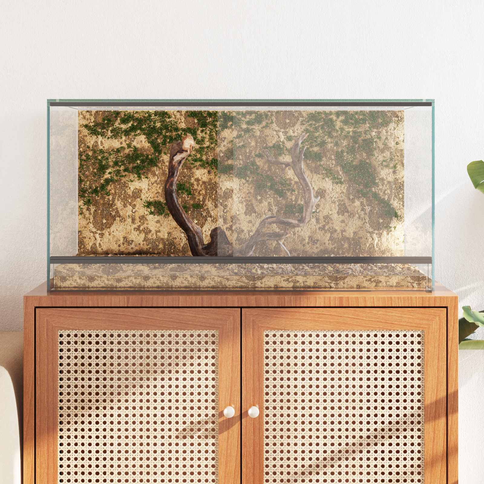 Terrarium mit Speicher Transparent 30 x 30 x 30 cm Glas
