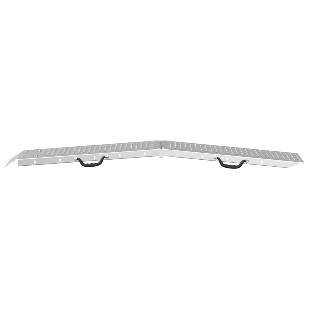 Faltbare Rampe 200kg pro Rampe 2 pcs Silber 166 x 23 x 4,5 cm