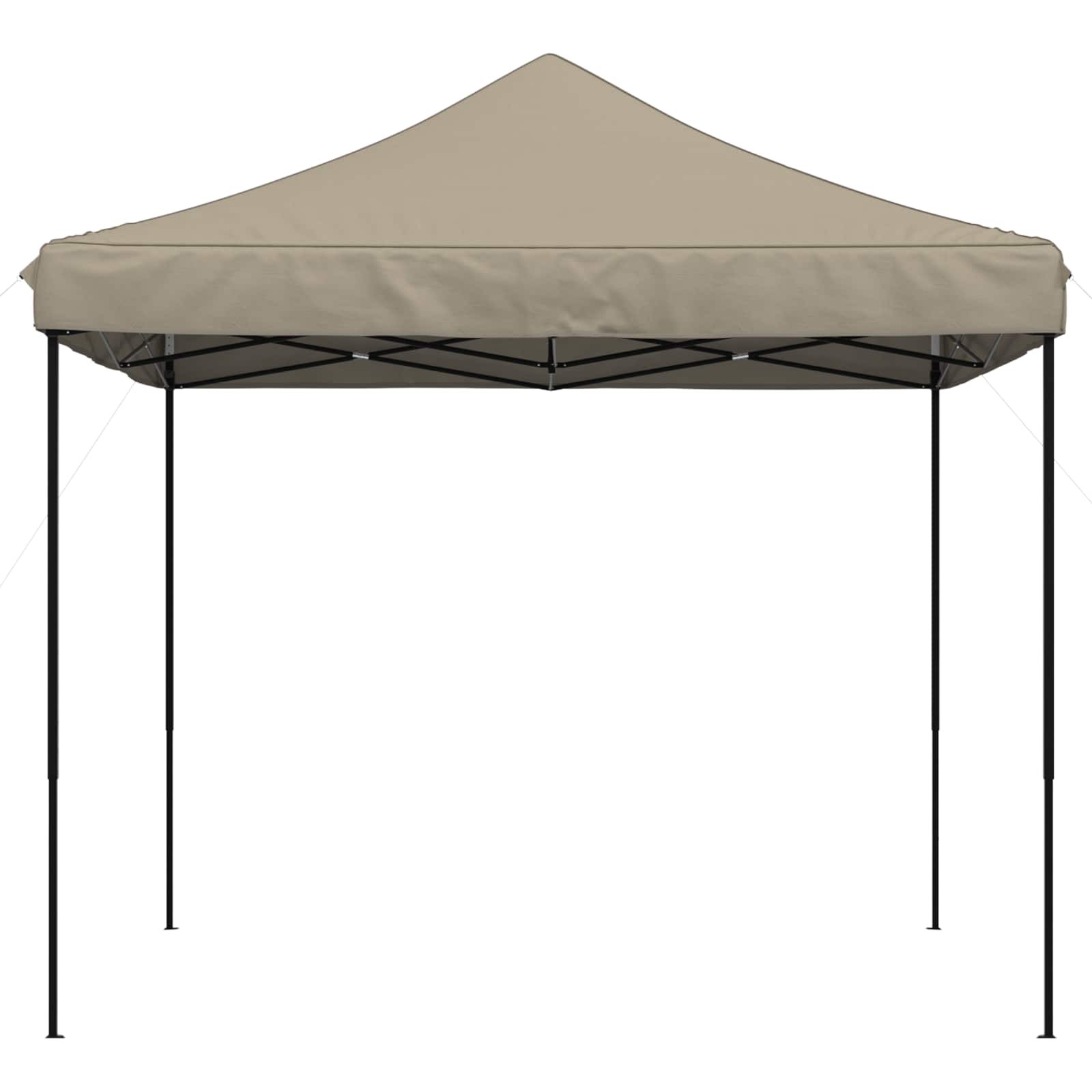 Partyzelt Faltbar Pop-Up Schwarz 292x292x315 cm