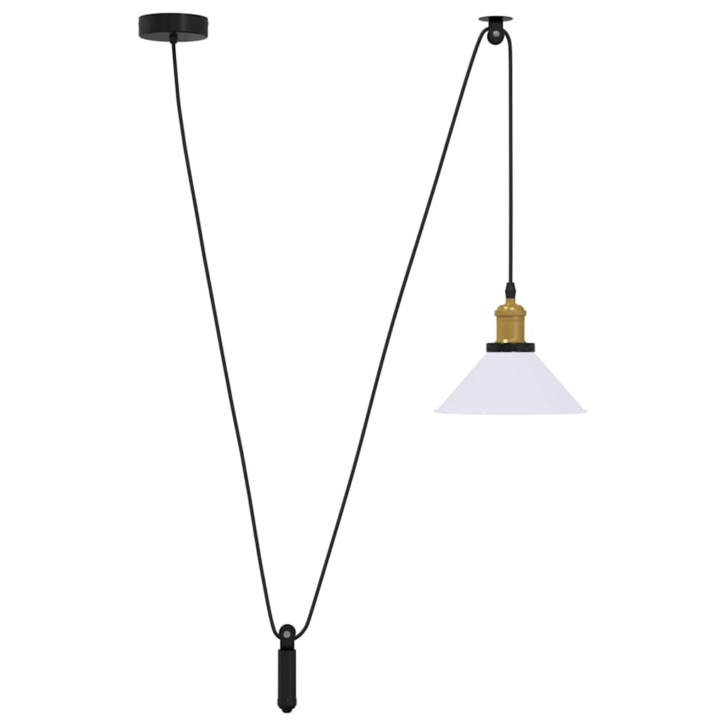 Pendelleuchte Höhenverstellbar E27 Schwarz Glänzend Ø 22 cm