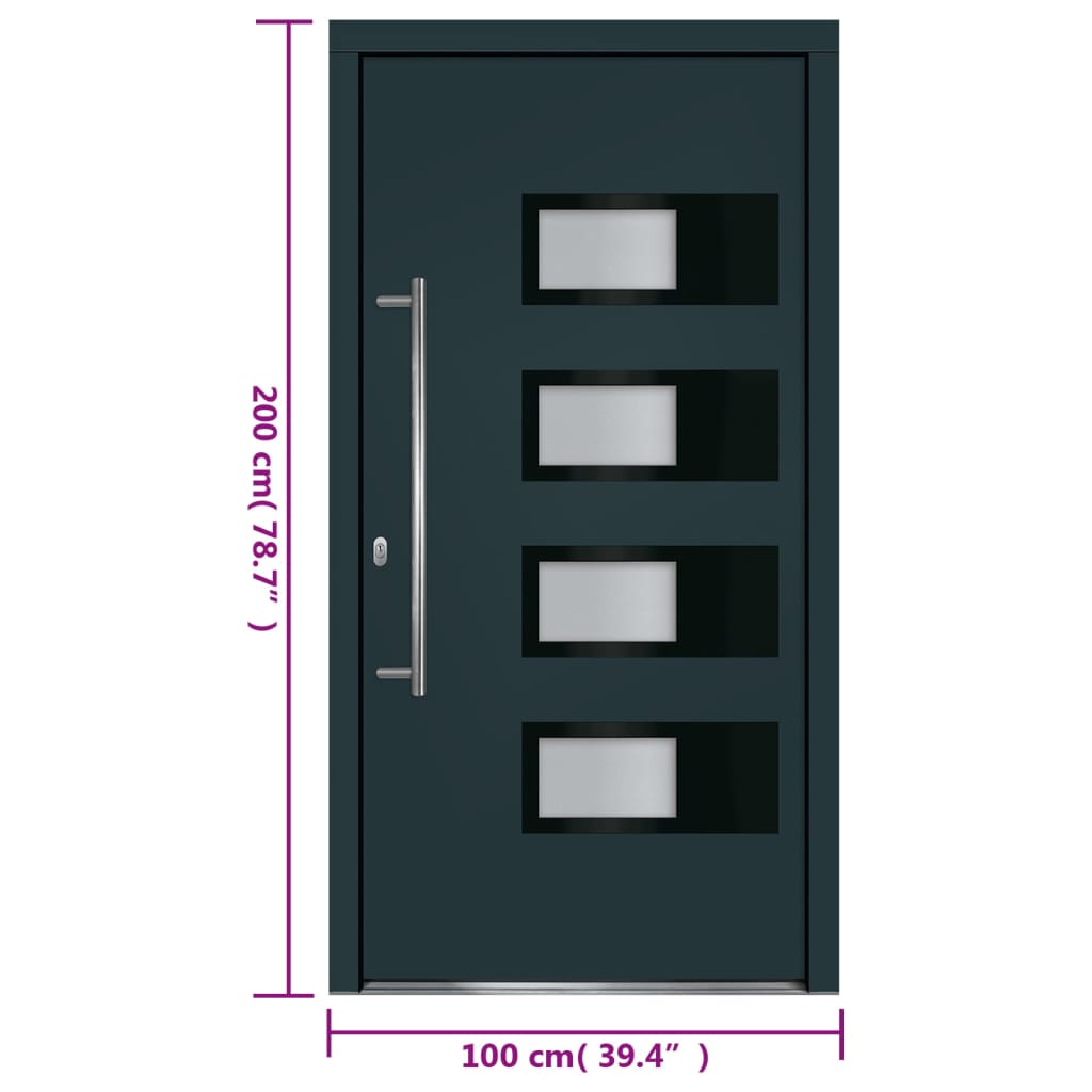 Haustür Anthrazit 100x210 cm Aluminium und PVC