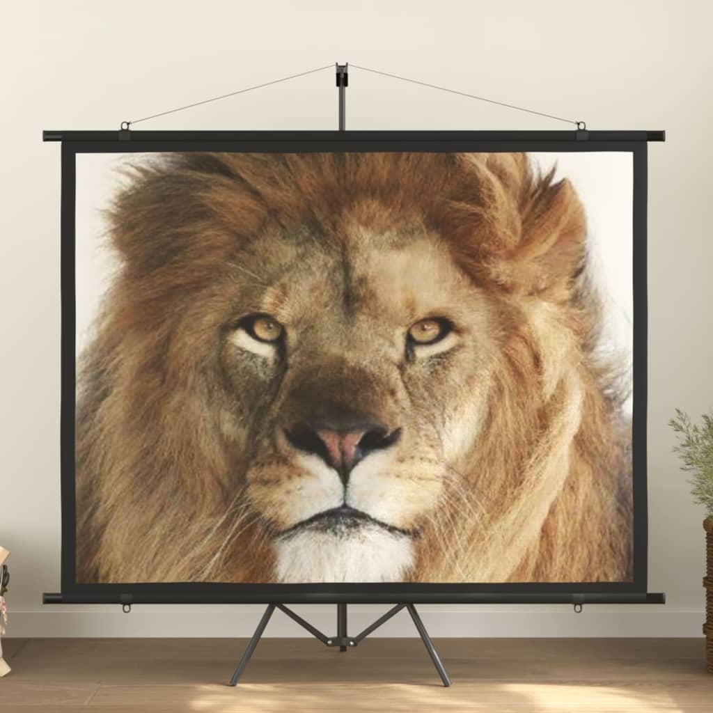 Beamer Leinwand 89" 1:1