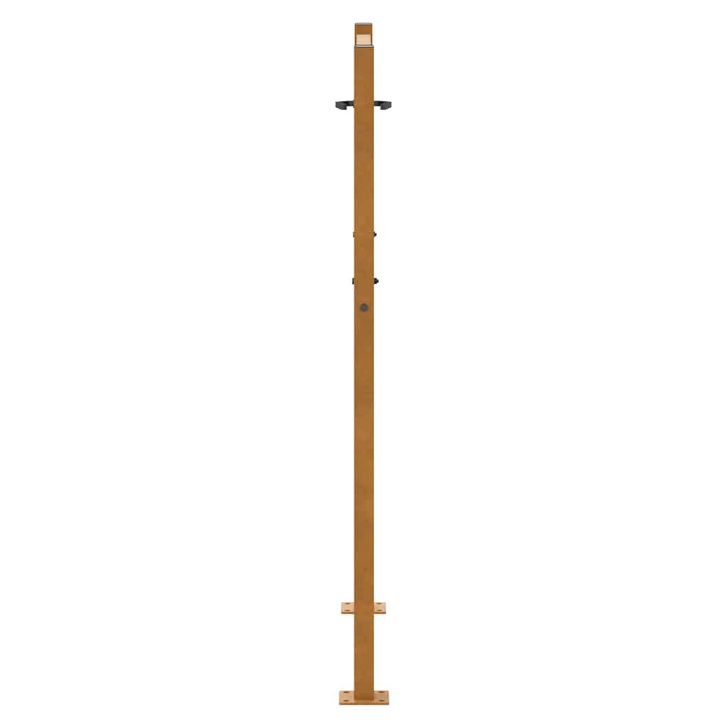 Gartentor Schwarz 100x100 cm Stahl Lichtdesign