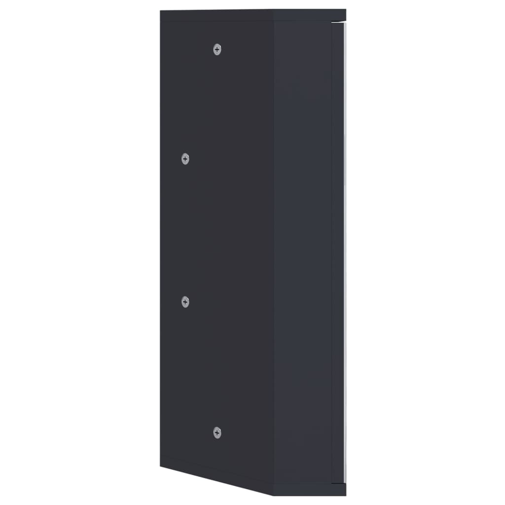 Eck-Spiegelschrank Weiß 30x24x60 cm