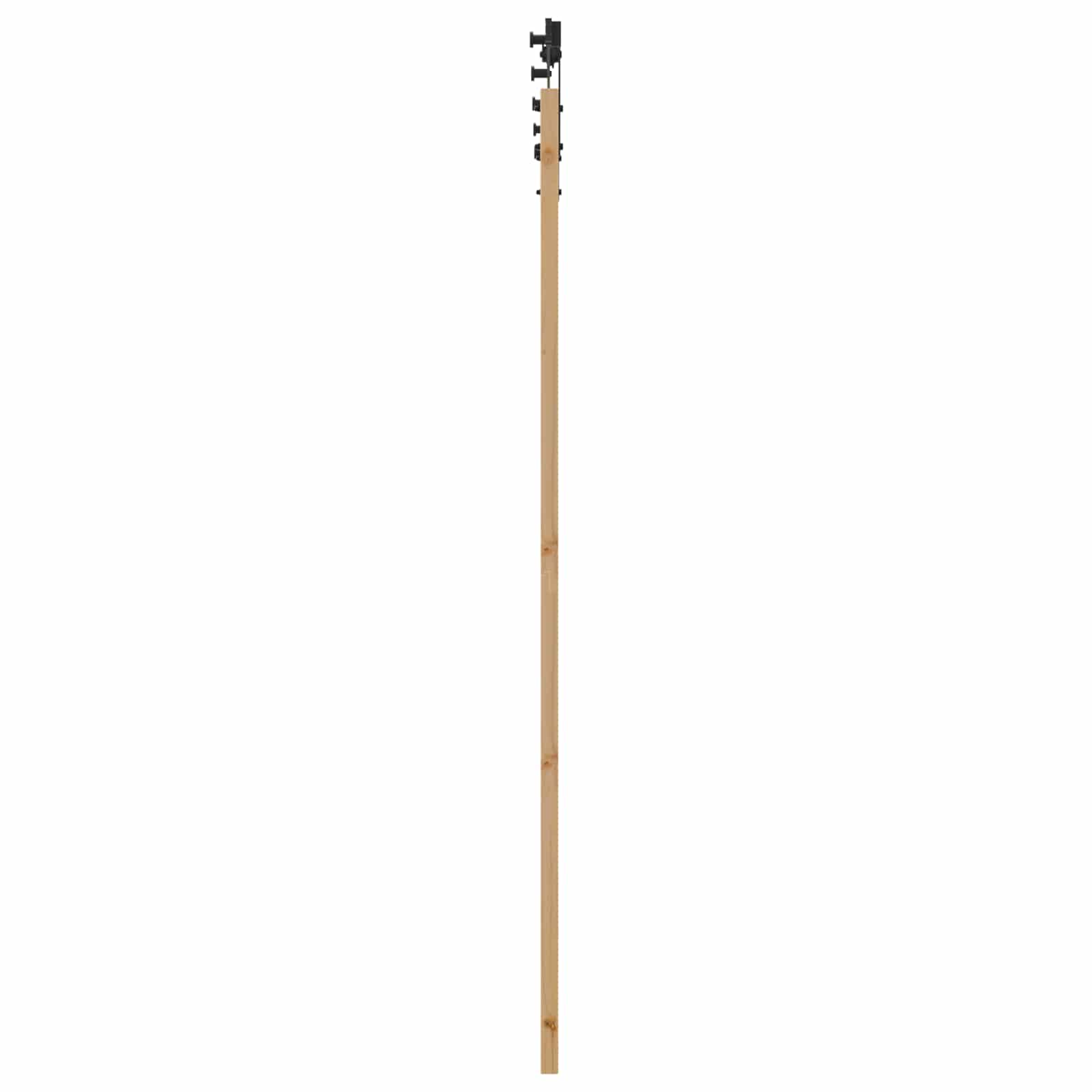 Schiebetür Natürlich und Schwarz 61 x 198,5 cm