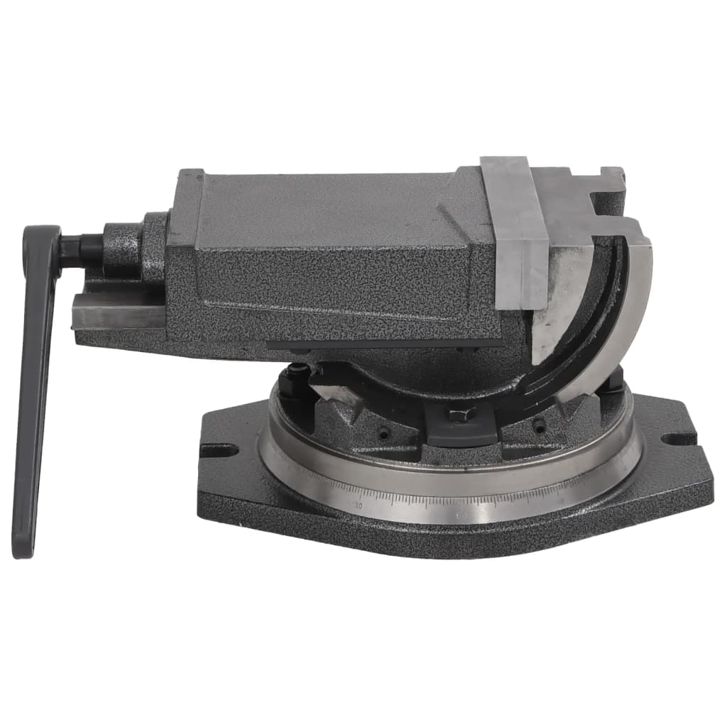 2-Achsen-Schraubstock Kippbar 100 mm