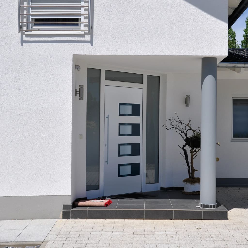 Haustür Anthrazit 100x210 cm Aluminium und PVC