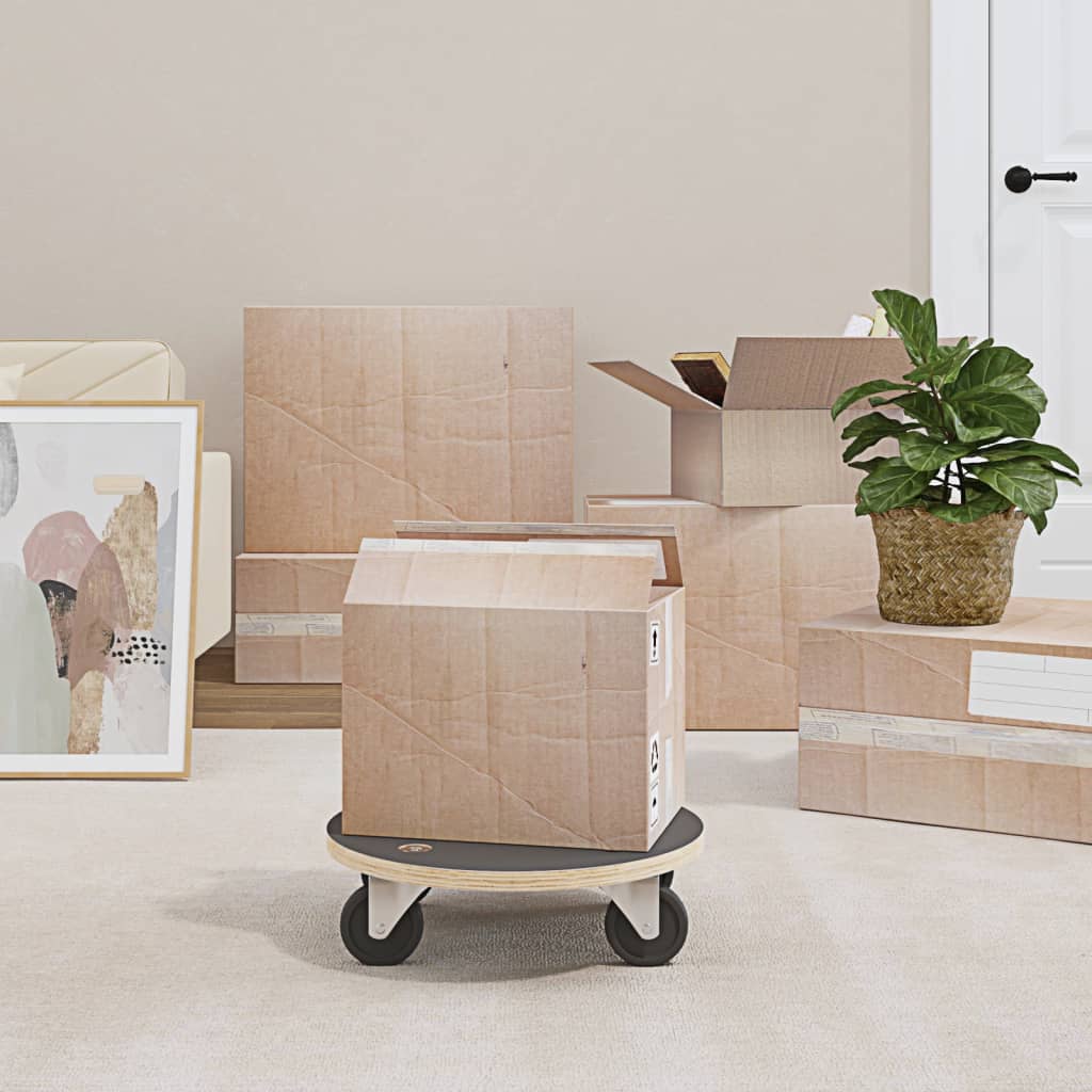 Transportroller 2 Stk. Rechteckig 60x40x11,5 cm 250 kg