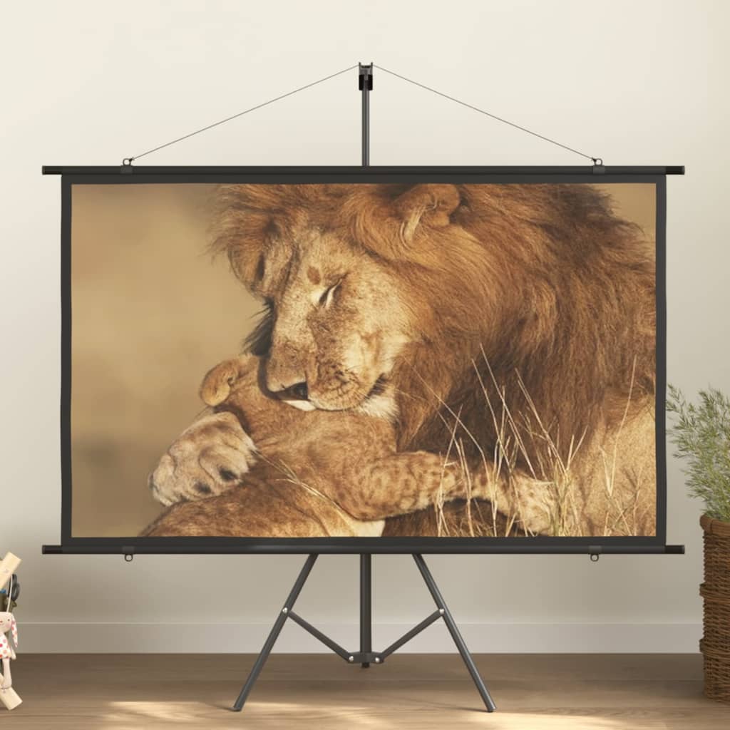 Beamer Leinwand 89" 1:1