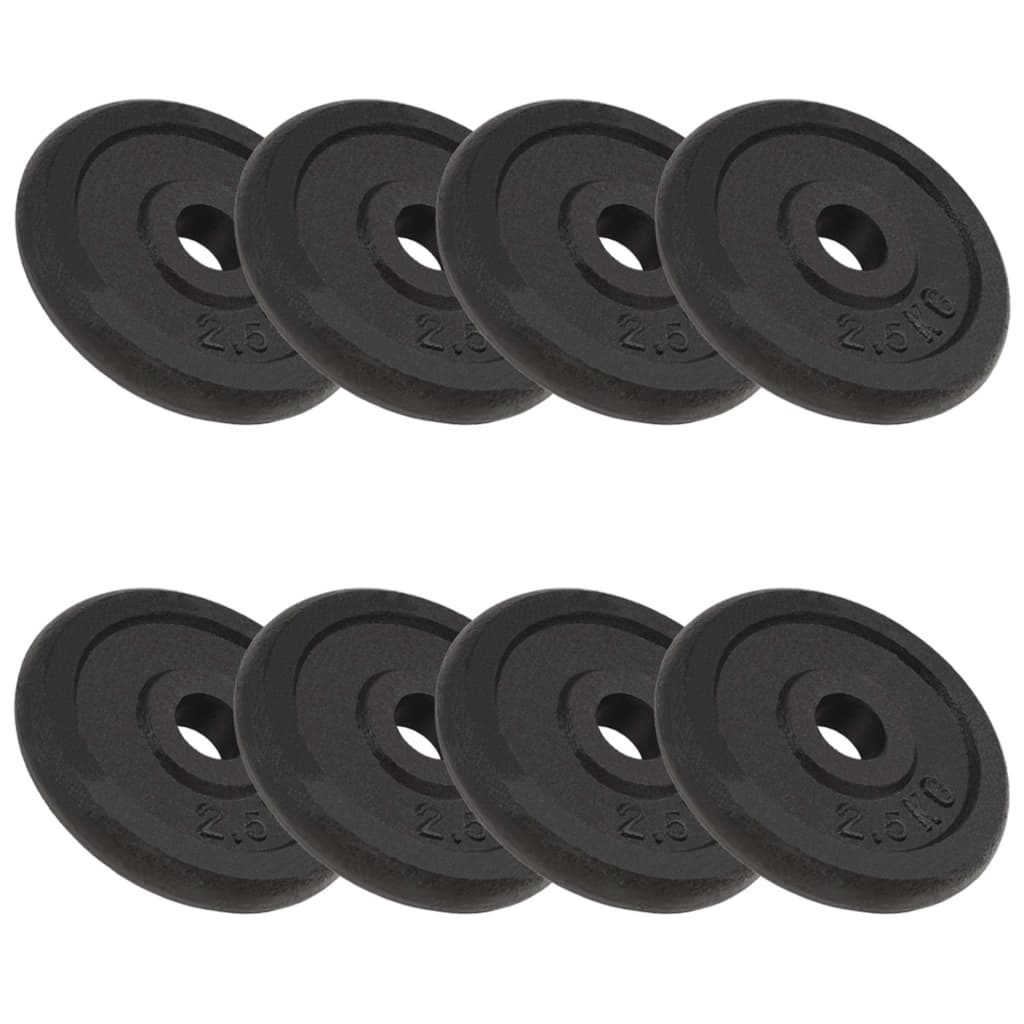 Hantelscheibe 40 kg Gusseisen
