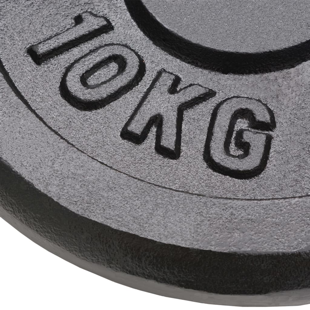 Hantelscheibe 40 kg Gusseisen