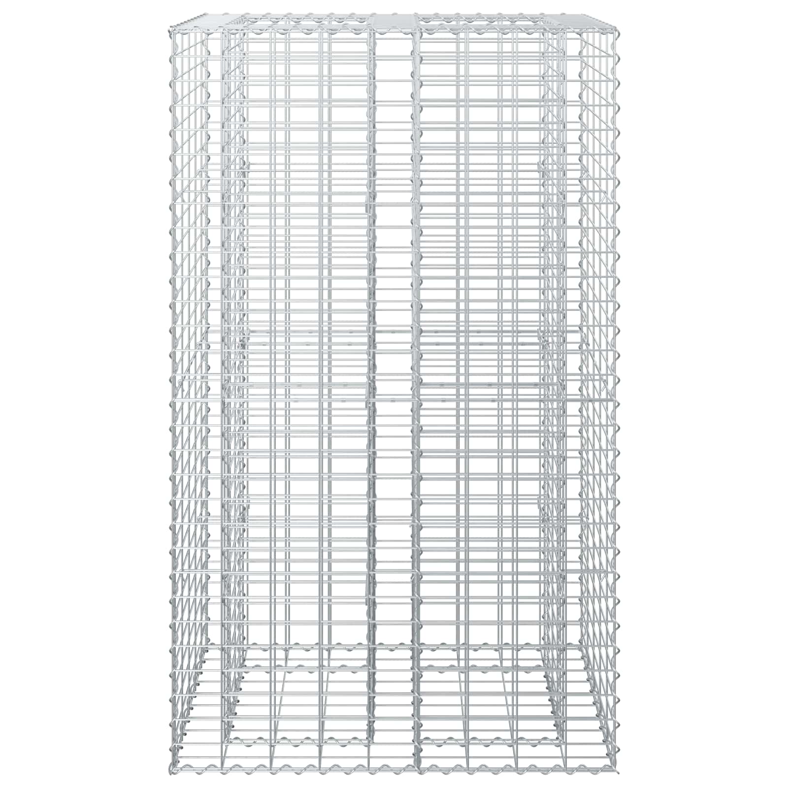 Gabionen Hochbeet 2 pcs Silber 260 x 60 x 55 cm
