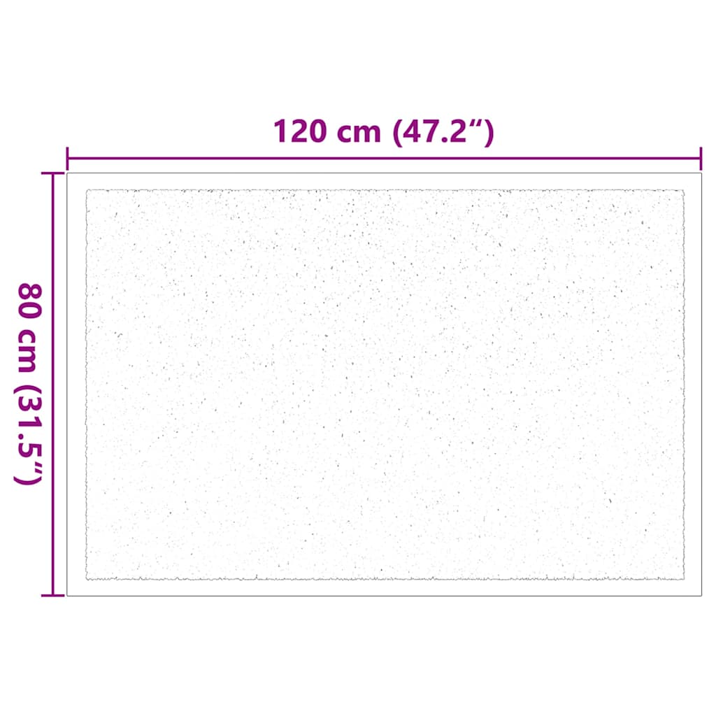 Fußmatte Anthrazit 60 x 40 x 1,2 cm Teddystoff