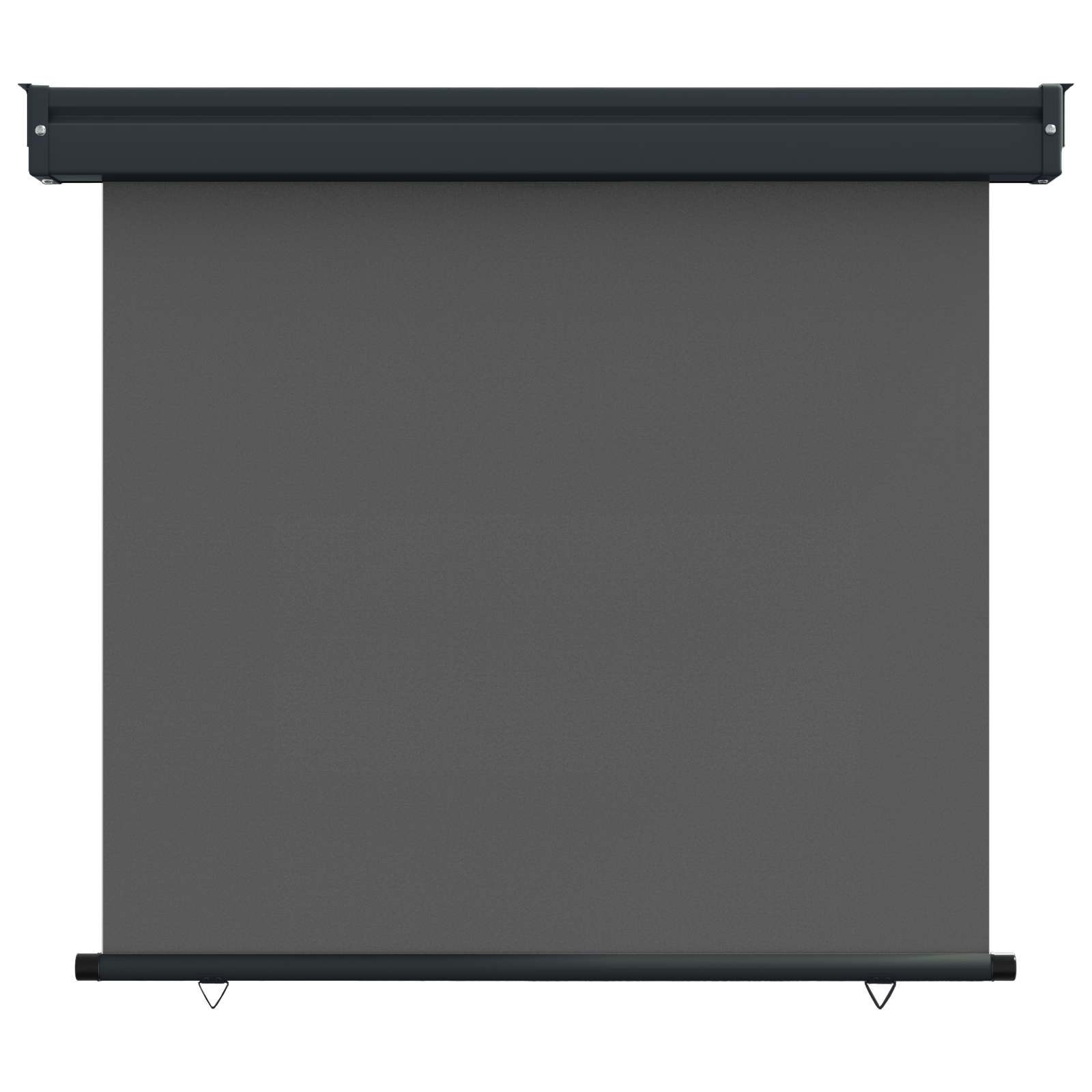 Balkon Seitenmarkise 60 x 250 cm 100% Polyester Eisen Stahl