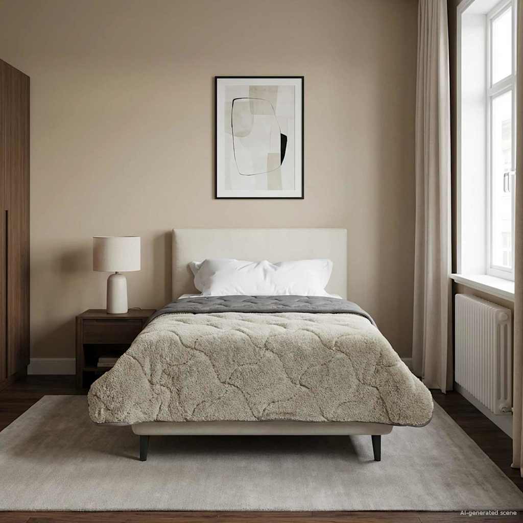 Sommerdecke Anthrazit 135 x 200 cm Mikrofaser und Teddy-Fleece
