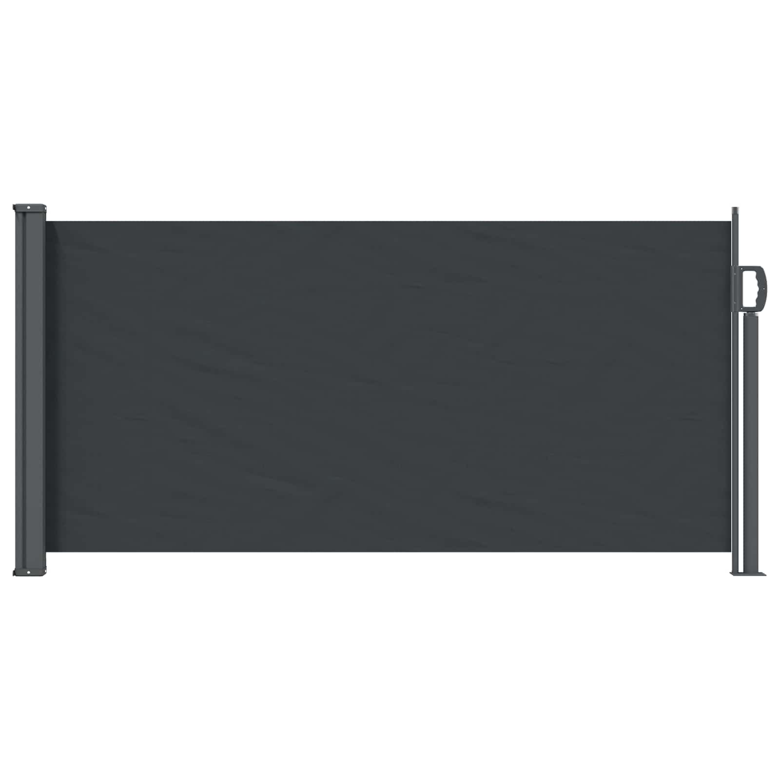 Ausziehbares Seitenmarkise Anthrazit 300 x 100 cm Polyester