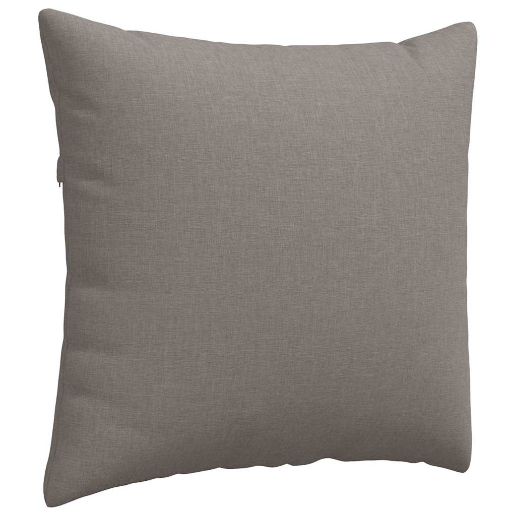 Sofakissen 2 pcs Hellgrau 50 x 30 cm Stoff