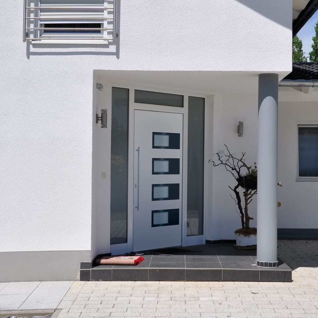 Haustür Anthrazit 100x210 cm Aluminium und PVC