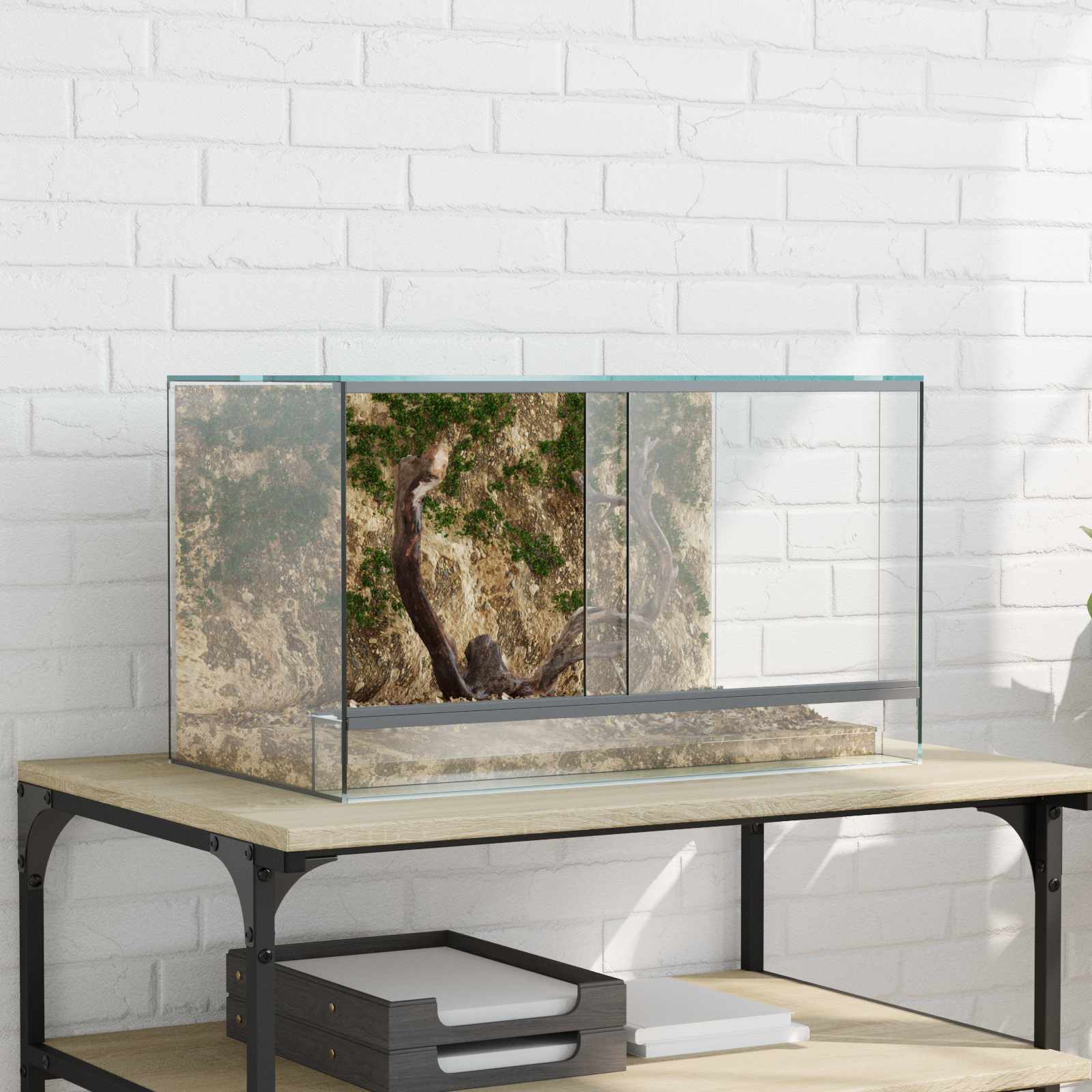 Terrarium mit Speicher Transparent 30 x 30 x 30 cm Glas