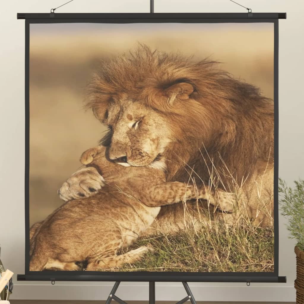 Beamer Leinwand 89" 1:1