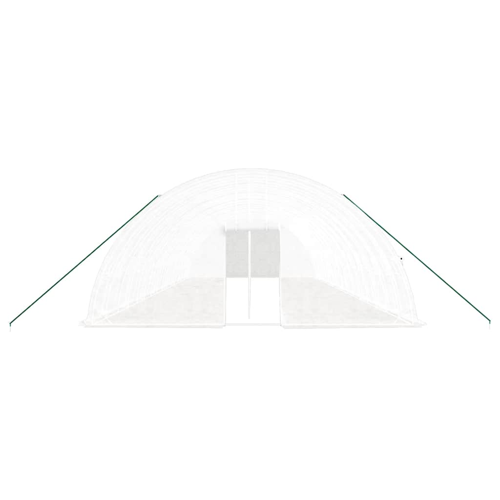Gewächshaus mit Stahlrahmen Grün 24 m² 6x4x2,85 m