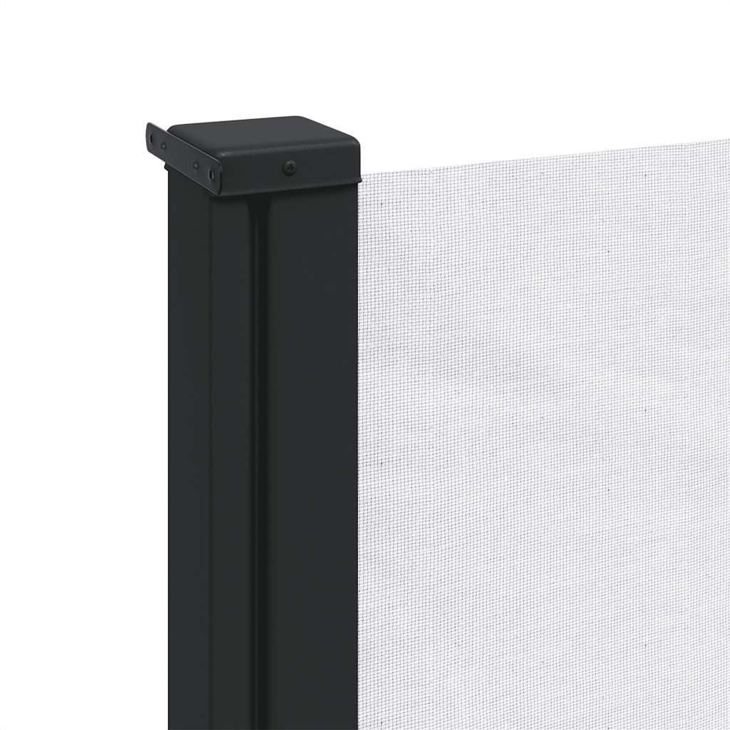 Seitenmarkise Ausziehbar Schwarz 100x300 cm