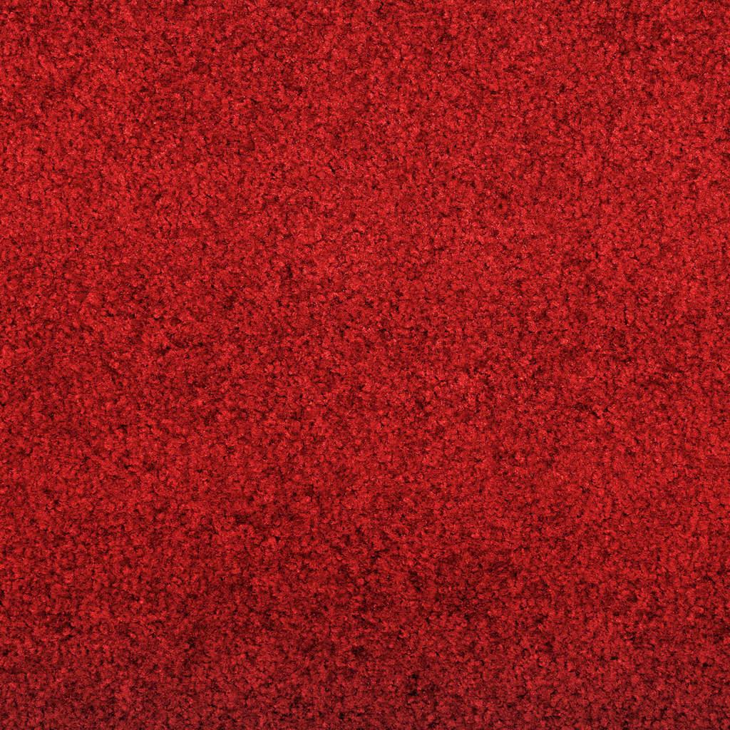 Fußmatte Braun 40x60 cm