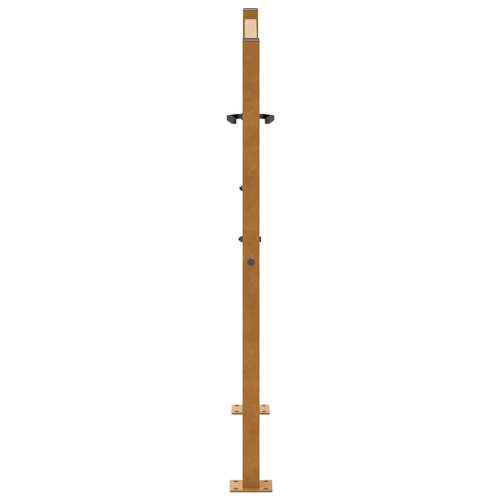 Gartentor Schwarz 100x100 cm Stahl Lichtdesign