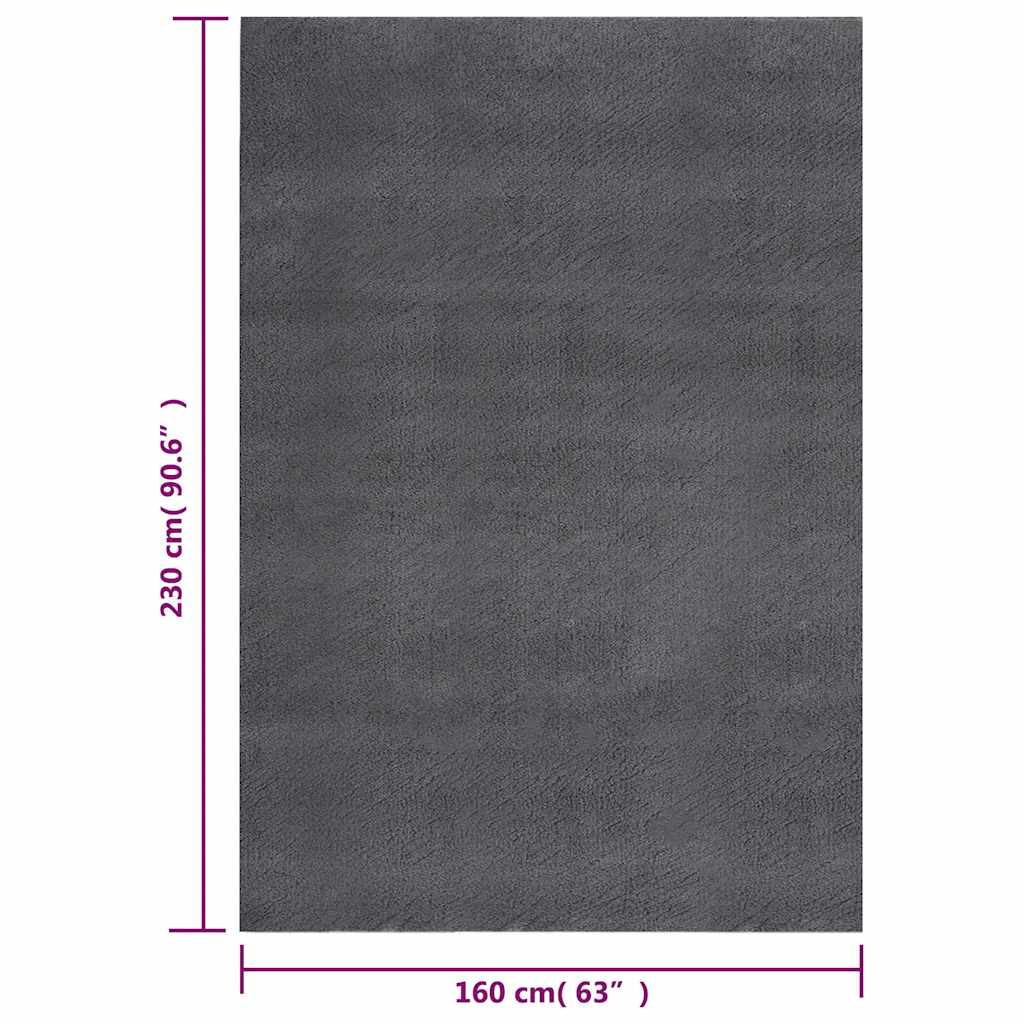 Teppich Waschbar Flauschig Kurzflor 160x230 Rutschfest Schwarz