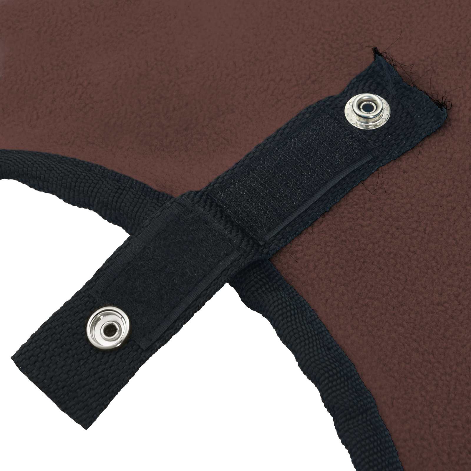 Pferdedecke Volles Aqua 75 cm Polyester