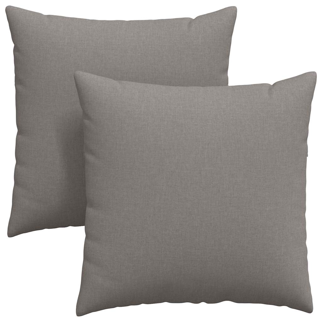 Sofakissen 2 pcs Hellgrau 50 x 30 cm Stoff