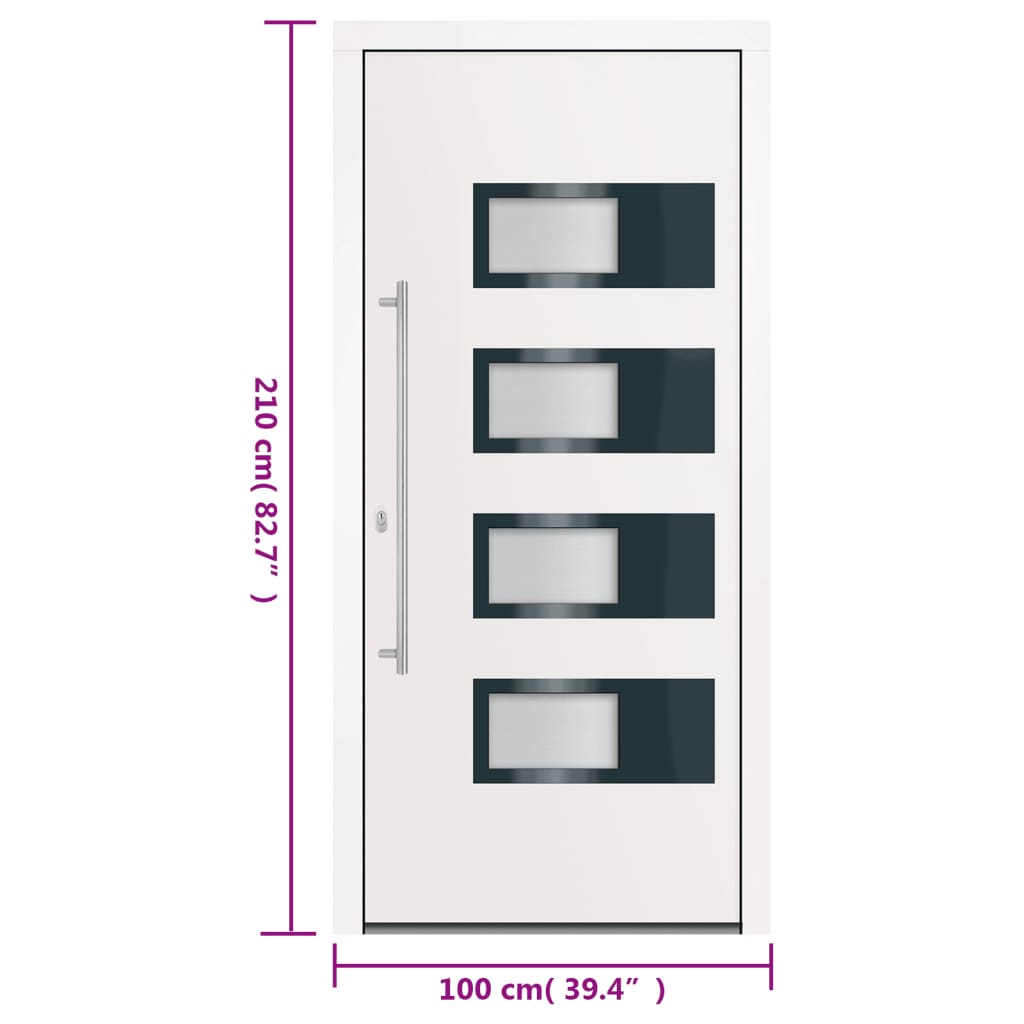 Haustür Anthrazit 100x210 cm Aluminium und PVC