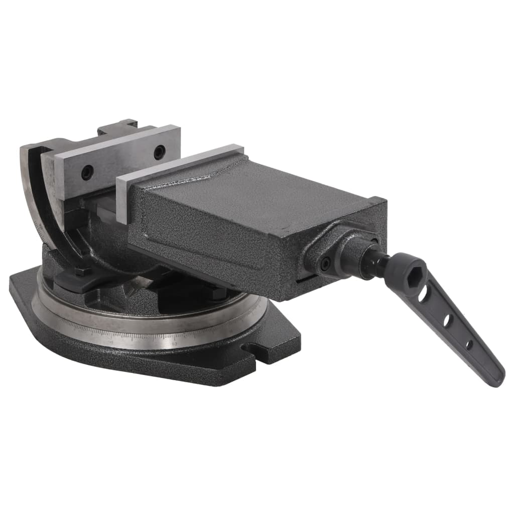2-Achsen-Schraubstock Kippbar 100 mm