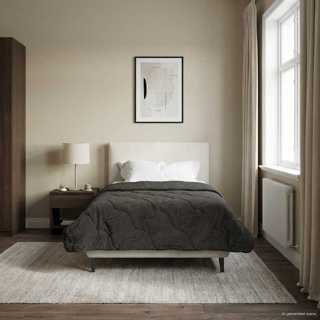 Sommerdecke Anthrazit 135 x 200 cm Mikrofaser und Teddy-Fleece