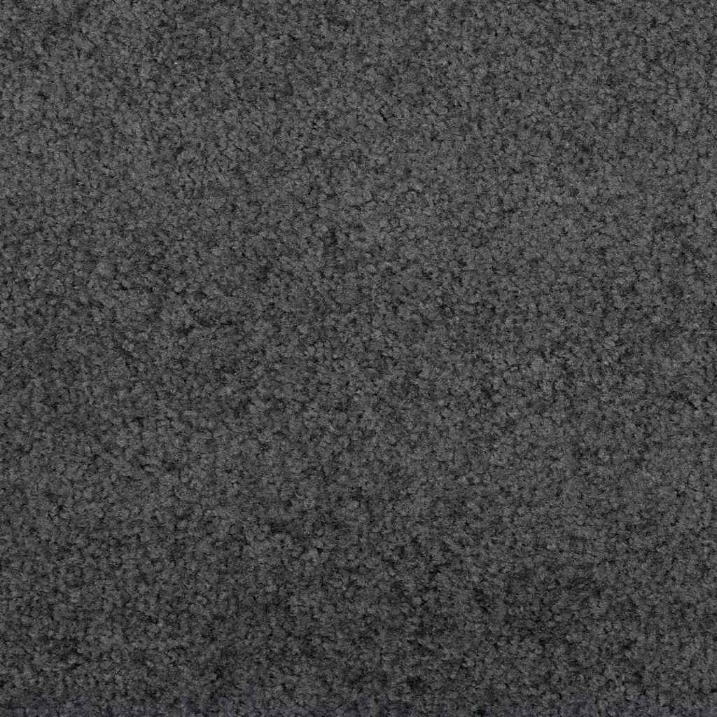 Fußmatte Waschbar Anthrazit 120x180 cm