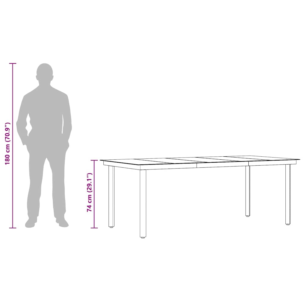 Garten-Esstisch Schwarz 160x80x74 cm Stahl und Hartglas
