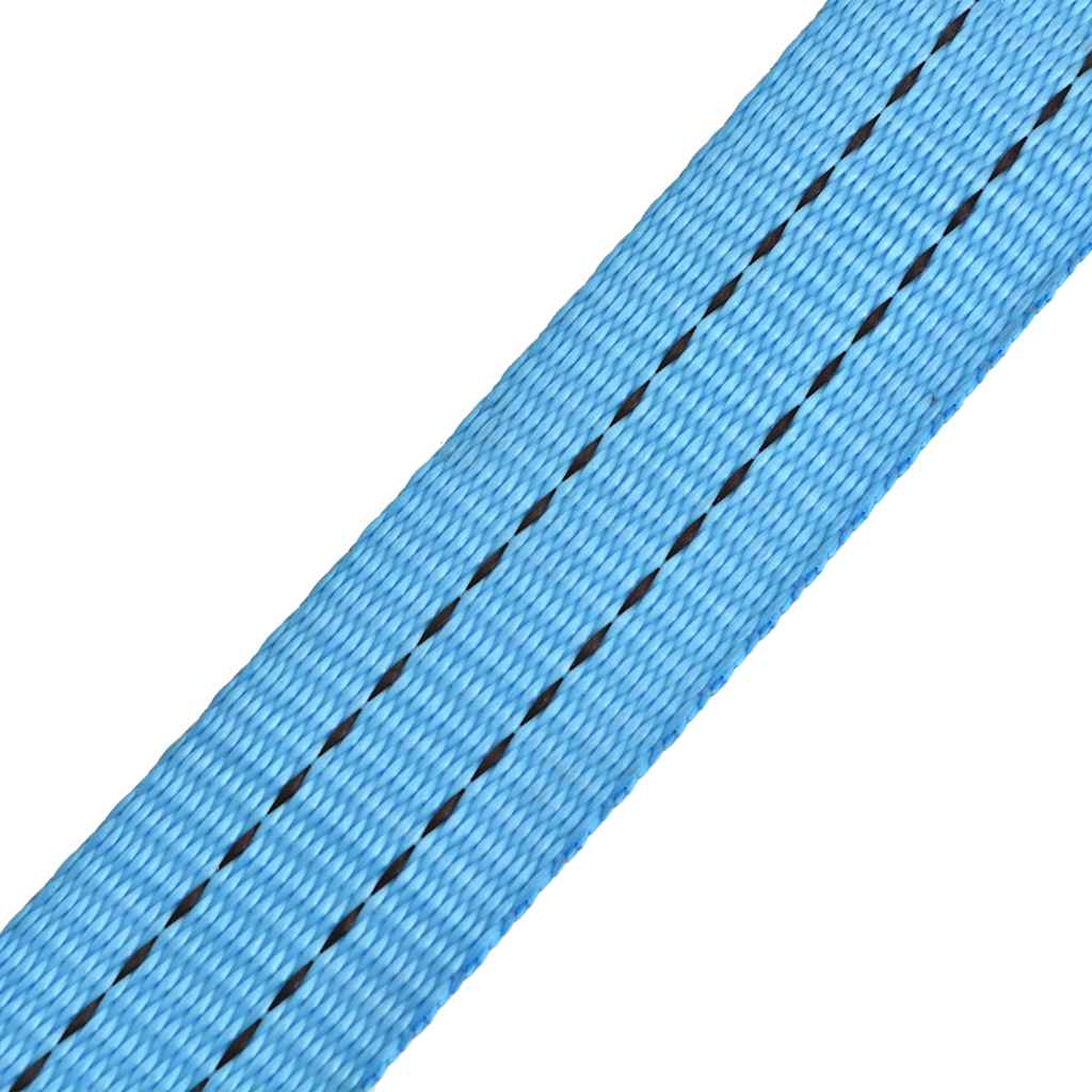 Ratschen-Spanngurte 4 Stk. 0,8 Tonnen 6m×25mm Blau