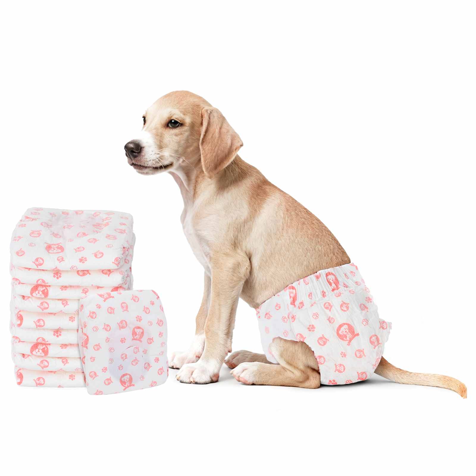 Einweg-Hundewindel für Rüden 30 pcs Weiß XS