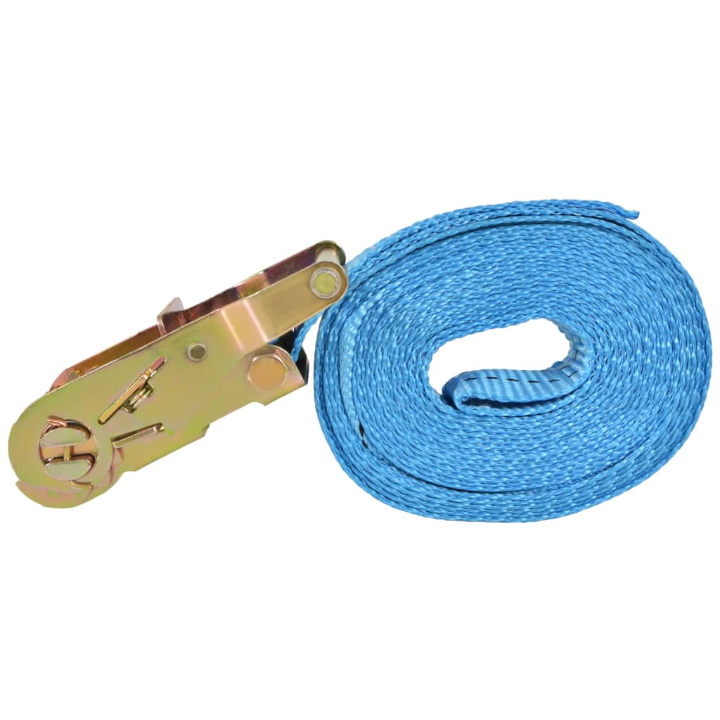 Ratschen-Spanngurte 4 Stk. 0,8 Tonnen 6m×25mm Blau