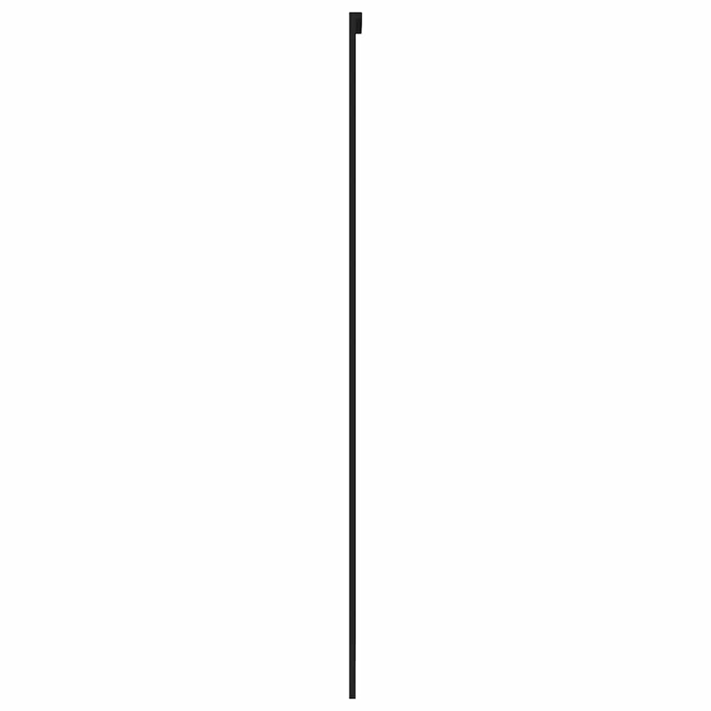 Schiebetür Aluminium und ESG Glas 90x205 cm Schwarz