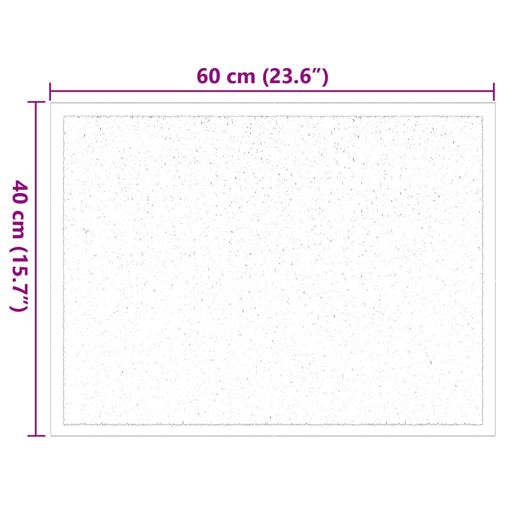 Fußmatte Anthrazit 60 x 40 x 1,2 cm Teddystoff