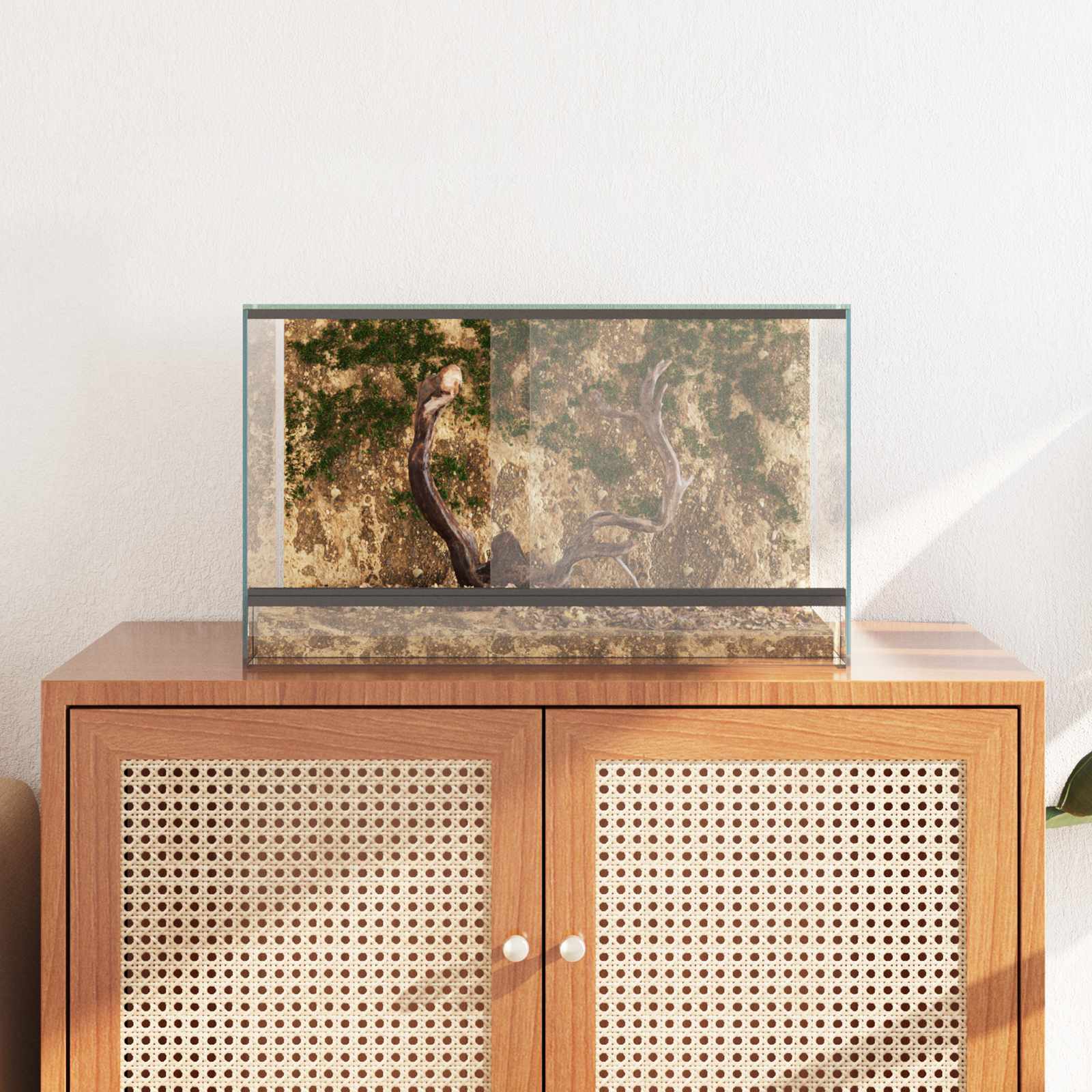 Terrarium mit Speicher Transparent 30 x 30 x 30 cm Glas