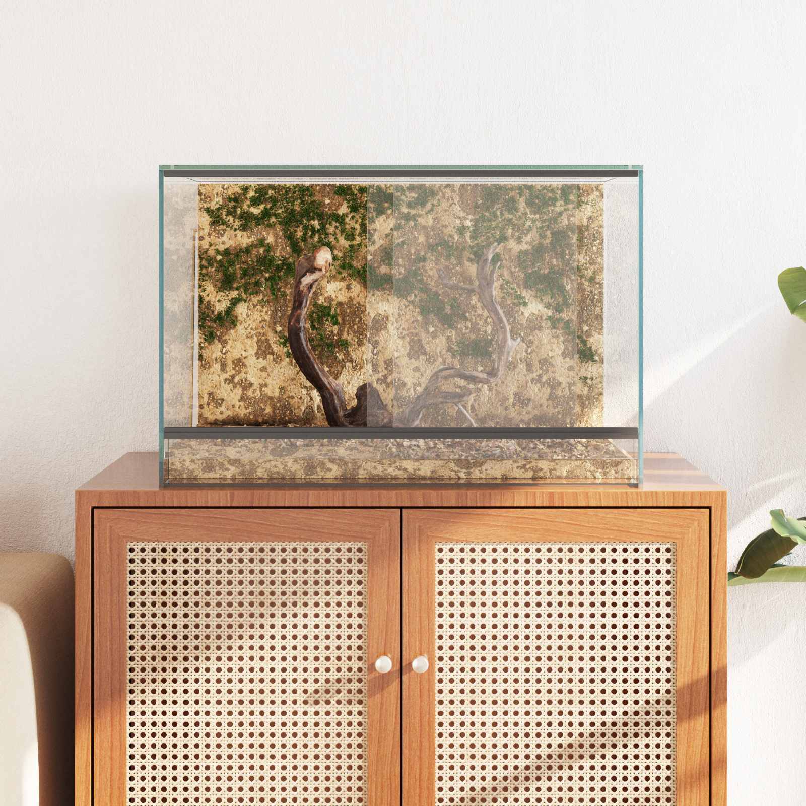 Terrarium mit Speicher Transparent 30 x 30 x 30 cm Glas