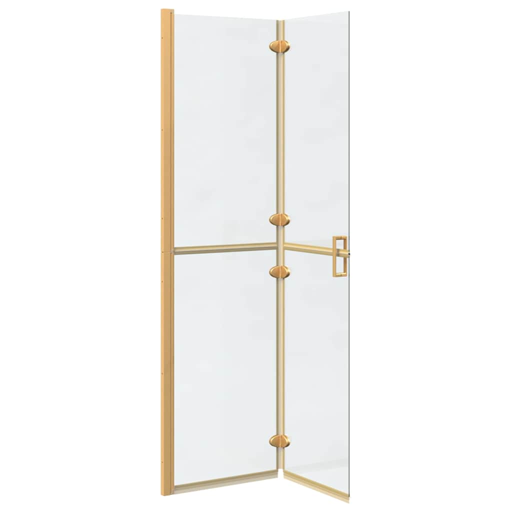 Faltbare begehbare Duschwand Transparentes ESG Glas 70x190 cm