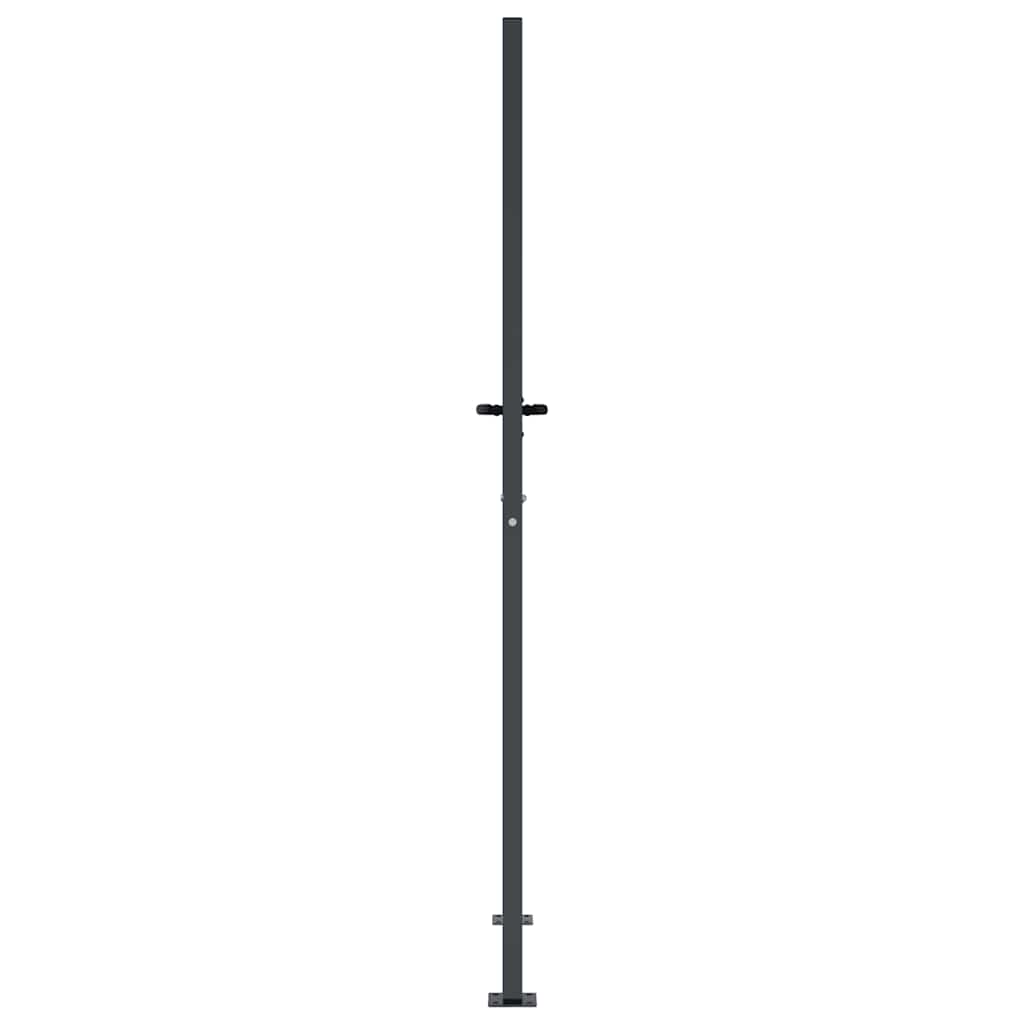 Gartentor Anthrazit 100x75 cm Stahl Gras-Design