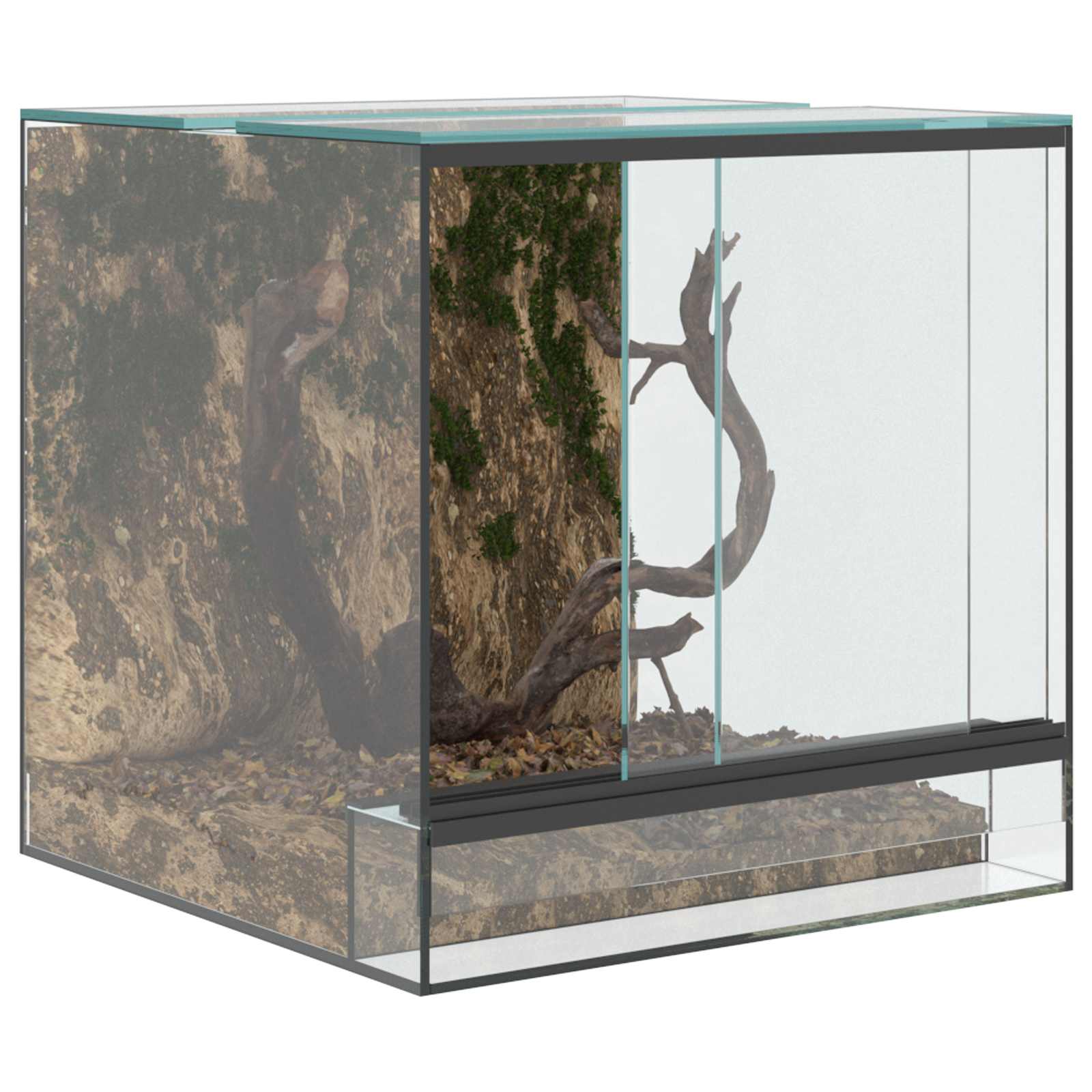 Terrarium mit Speicher Transparent 30 x 30 x 30 cm Glas