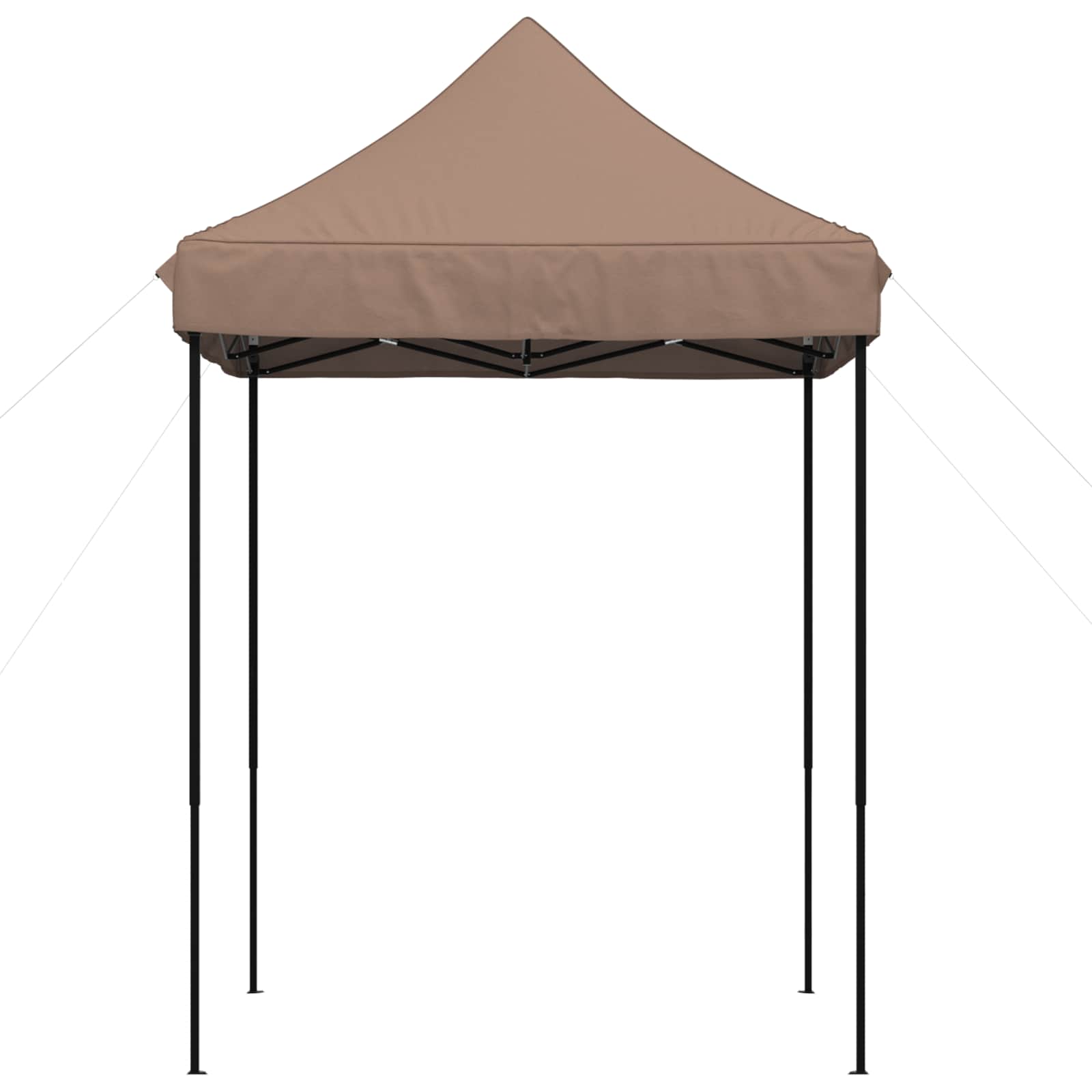 Partyzelt Faltbar Pop-Up Schwarz 200x200x306 cm