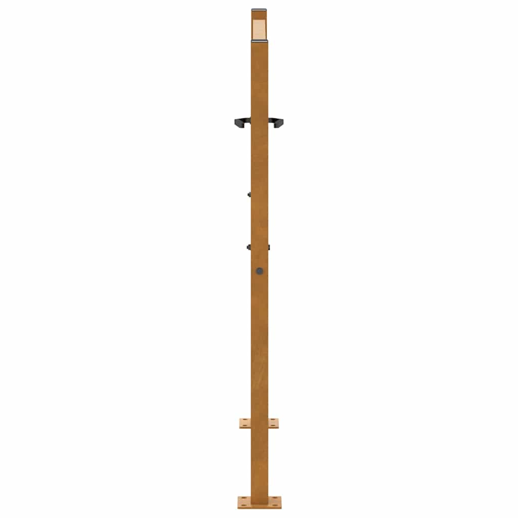 Gartentor Schwarz 100x100 cm Stahl Lichtdesign