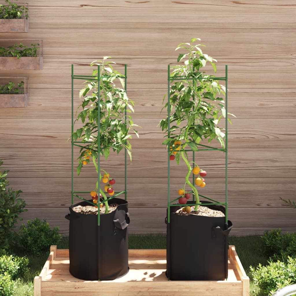 Tomatenkäfige 8 Stk. 116 cm Stahl und PP